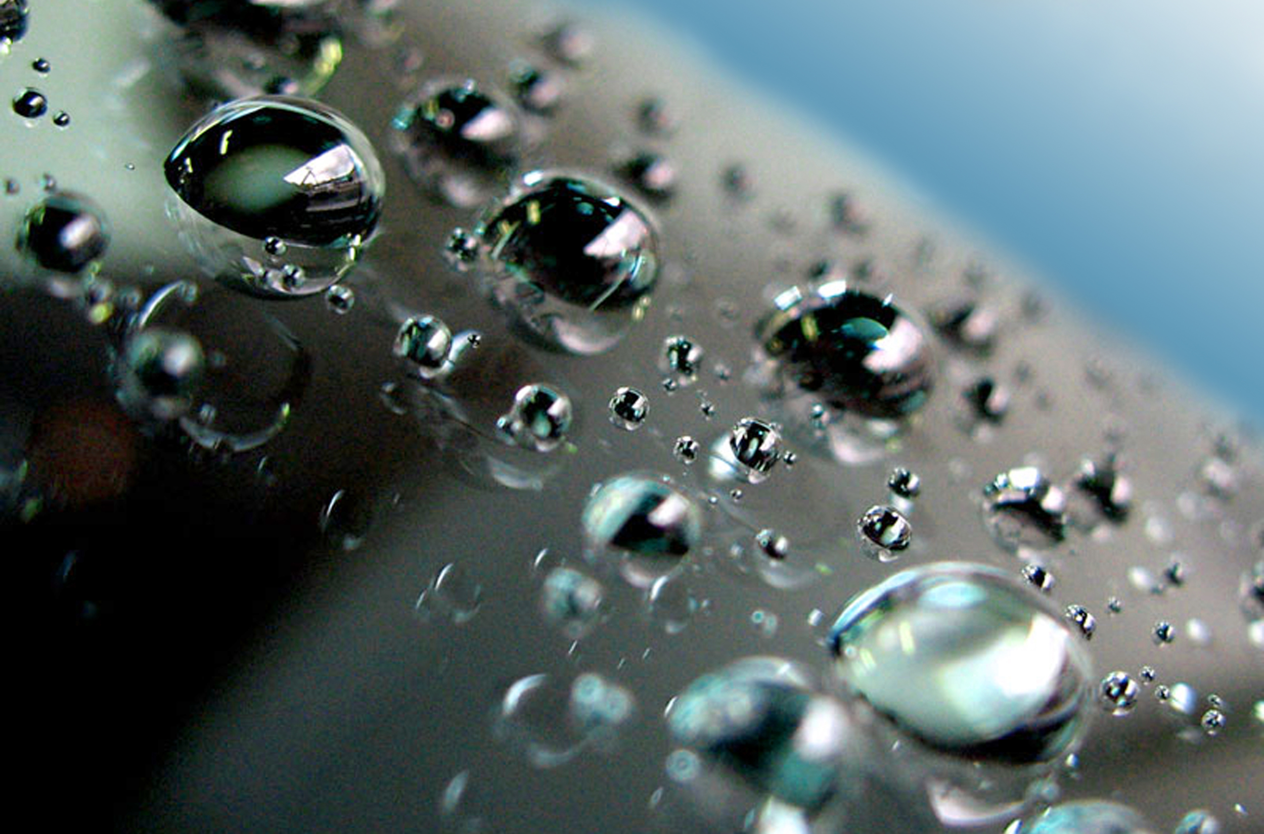 コーティング剤